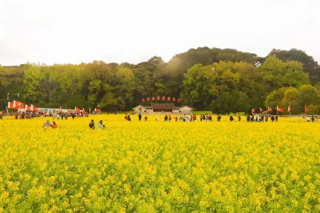 “又美又甜 快来古田”2026年古田县迎新年非遗集市展.jpg